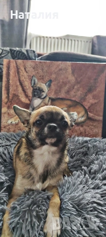 «Моментът, в който тя разбра, че е съвършена», снимка 6 - Картини - 53877958