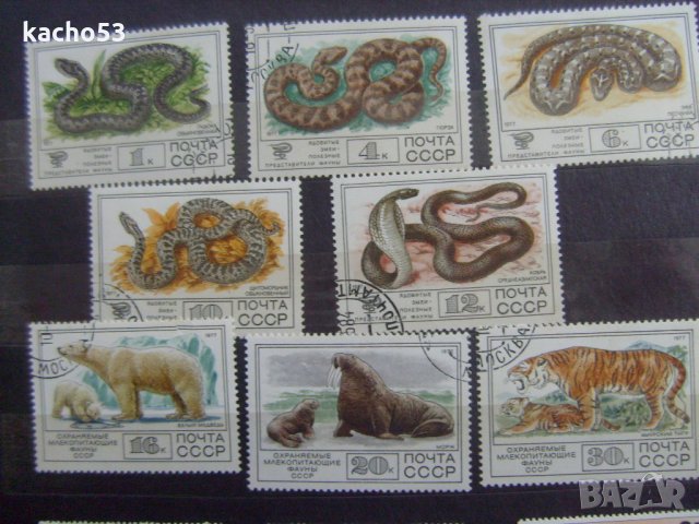 Влечуги и бозайници 1977 г.-СССР, снимка 1