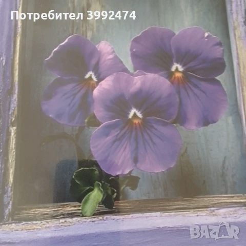 Картина, снимка 2 - Картини - 50662838