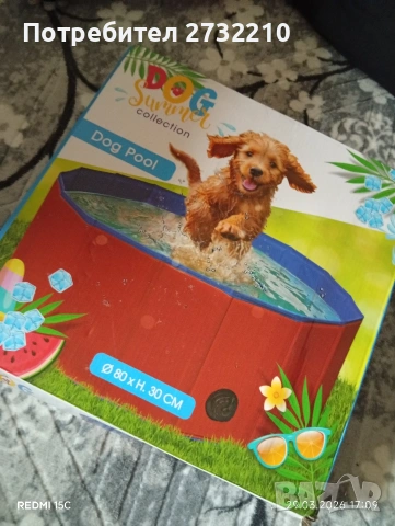 Басейн за кучета 