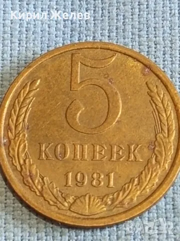 Стара монета 5 копейки 1981г. СССР рядка за КОЛЕКЦИЯ ДЕКОРАЦИЯ 39560, снимка 2 - Нумизматика и бонистика - 48206318
