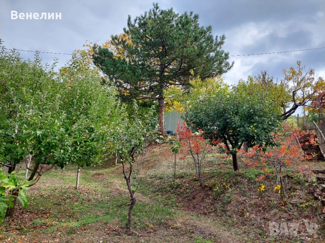 намалена цена 22 000лв., снимка 14 - Вили - 51851316