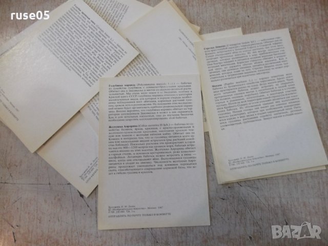 Лот от 16бр. картички на насекоми от червената книга на СССР, снимка 7 - Други ценни предмети - 35626260