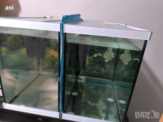 Аквариуми 30 литра , снимка 2 - Аквариуми - 49431691
