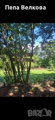 Дворно място в с.Ново Бърдо, снимка 7 - Парцели - 52254049