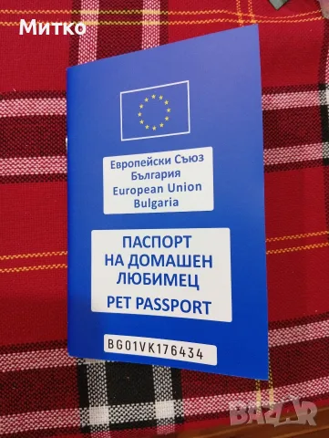 Померан,мини шпиц, снимка 7 - Померан - 55791154