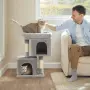 котешка катерушка, снимка 4
