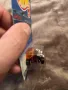 Hotwheels 1999 PORCYCLE, снимка 3