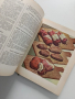 Руска готварска книга 1961г, снимка 5