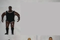 Кеч Фигури Torrie Wilson/Triple H/Matt Hardy/Edge/Mark Henry/Sandman/Ric Flair/Chris Jericho, снимка 2