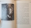 Живот през Ренесанса - портрети от епохата / Renaissance Lives. Portraits of an Age, снимка 17