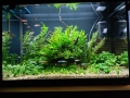 Напълно оборудван и работещ аквариум , снимка 8