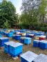 Продаван кошери Дадан-Блат , снимка 2