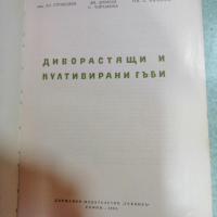 Продавам антикварна книга "Диворастящи и култивирани гъби" 1965г., снимка 1 - Художествена литература - 44575439