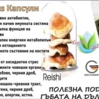 Гъба РЕЙШИ- LR Reishi, снимка 4 - Хранителни добавки - 44247948