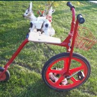 Старо детско колело на   VIKING Pastorini, снимка 5 - Детски велосипеди, триколки и коли - 30543718