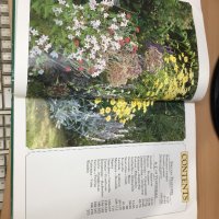 Цветна Енциклопедия - A-Z of perennials -Successful Gardening, снимка 2 - Енциклопедии, справочници - 30873235