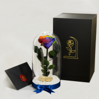 Нестандартен Подарък за Жена / Шарена-Рейнбол Вечна Роза в Голяма Стъкленица / Подарък за Годишнина, снимка 2 - Декорация за дома - 36455173