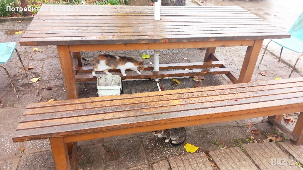 Продавам 2 маси и 4 пейки от масивна дървесина.  , снимка 1