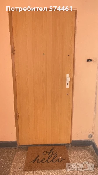 Входна врата -Метална, снимка 1