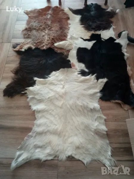Екзотични, интериорни и естествени,кози кожи-2 бр..Обявената цена е за всичките., снимка 1