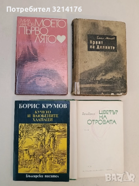 Кучето и влюбените хлапаци - Борис Крумов, снимка 1