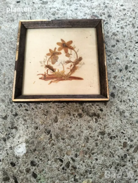 Английски пресовани цветя в рамка, снимка 1