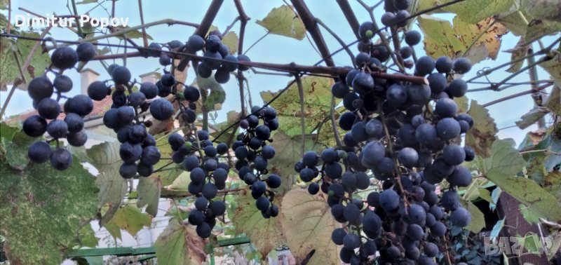 Отел- Резници, снимка 1