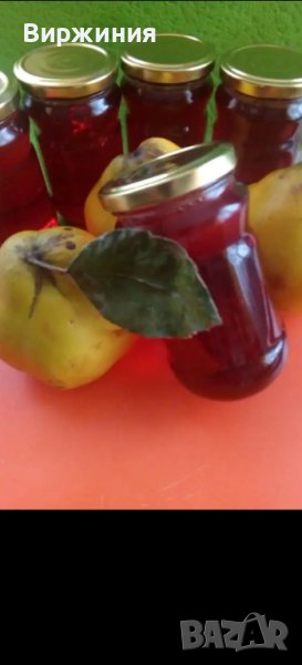 Желе(пелте) от дюли, снимка 1