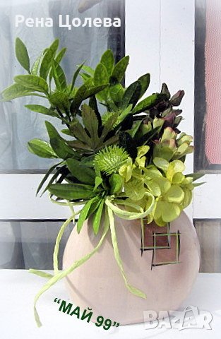 Шефлера в керамична кашпа, снимка 3 - Изкуствени цветя - 42221877