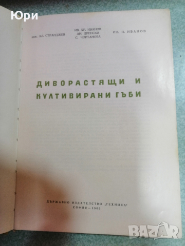 Продавам антикварна книга "Диворастящи и култивирани гъби" 1965г., снимка 1 - Художествена литература - 44575439