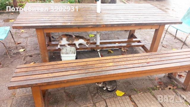 Продавам 2 маси и 4 пейки от масивна дървесина.  