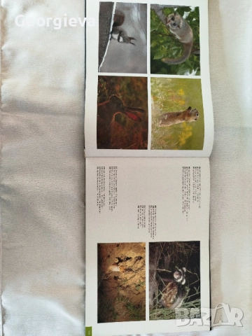 Книга "Tour Net" - 300 стр, снимка 3 - Специализирана литература - 52743255