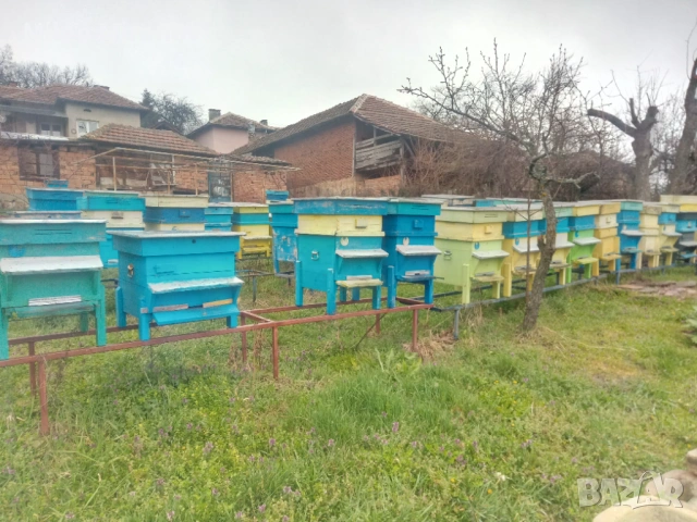 Продавам пчелни отводки