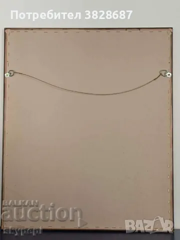 Литография,,Албрехт Дюрер I,,, снимка 7 - Картини - 48271081