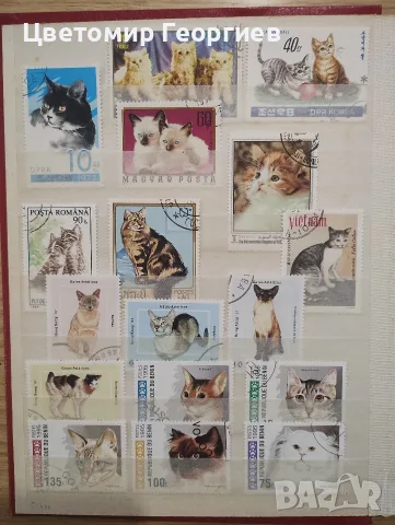 Класьор с марки /котки / 147 бр., снимка 2 - Филателия - 56504433