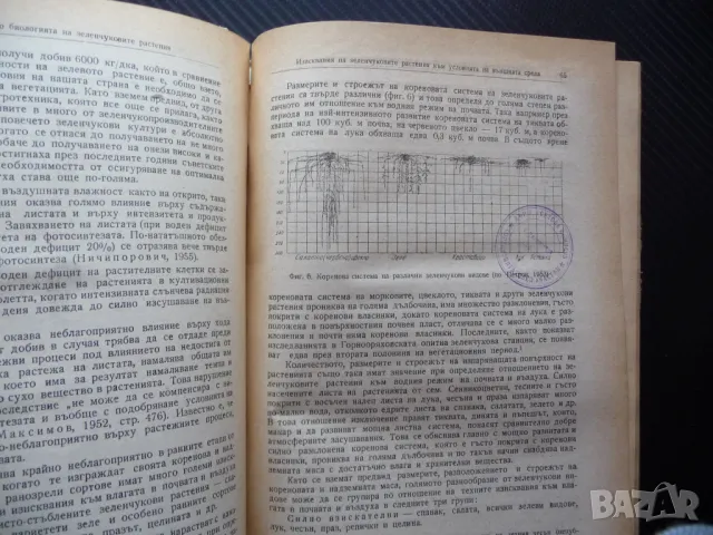 Зеленчукопроизводство Хр. Даскалов, Н. Колев зеленчуци градини домати краставици пипер, снимка 2 - Специализирана литература - 50078543
