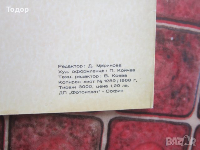 Картина албум Цанко Лавренов 1963 картички, снимка 2 - Специализирана литература - 36959218