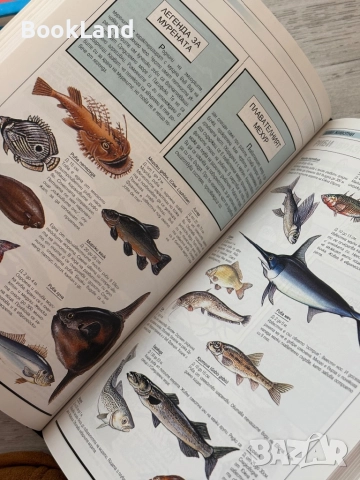 Енциклопедии Larousse| История на света, Флора и фауна, Световен атлас, Детска енциклопедия , снимка 6 - Детски книжки - 52477396