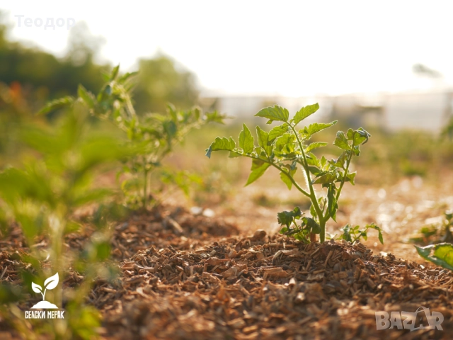 Дървесен чипс на едро (компостиращ), снимка 2 - Тор и почвени смеси - 52135429