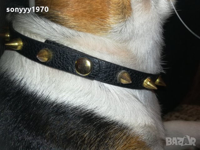 кожен нашииник с златни шипове-внос франция, снимка 2 - Колекции - 30328049