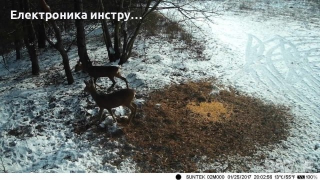 Ловна камера Automat, HC-801 MG, Нощно виждане, Full HD, 3G модул, снимка 8 - Оборудване и аксесоари за оръжия - 42375485