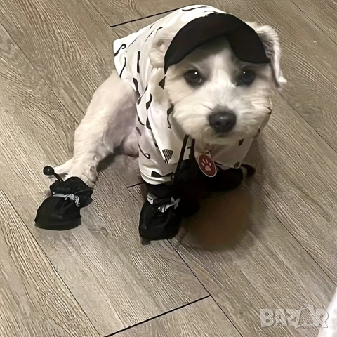 Обувки за малки и големи кучета. Кучешки обувки. Чорапи за куче

, снимка 9 - За кучета - 52542582