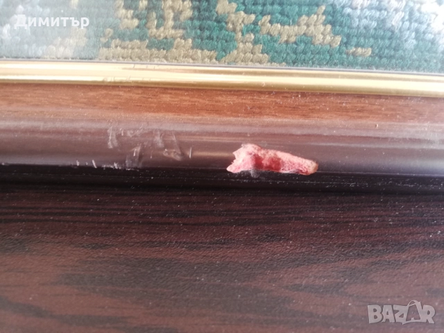 Гоблени рамкирани - част III, снимка 13 - Гоблени - 52071846