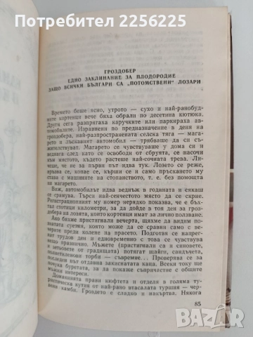 Книга за виното, снимка 3 - Специализирана литература - 55901642