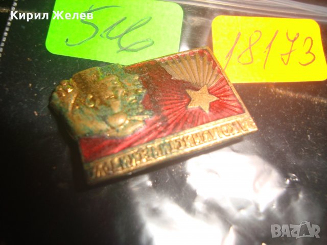 ЕМАЙЛИРАНА СОЦ БРОНЗОВА ЗНАЧКА За СОЦИАЛИСТИЧЕСКИ ТРУД 18173, снимка 4 - Колекции - 30940910