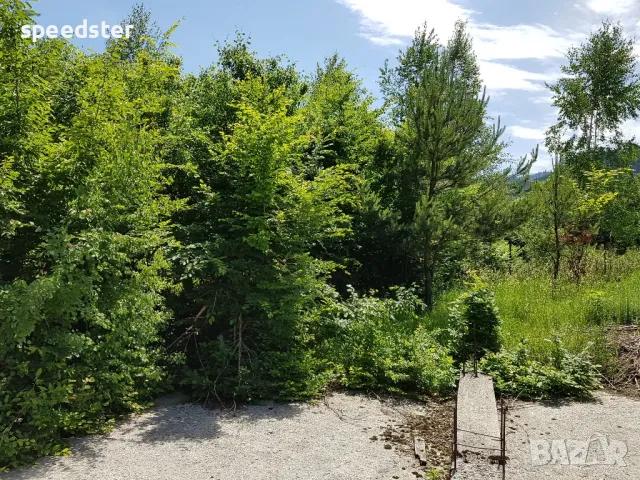 Рибарица 3000 кв.м. парцел и изграден до кота 0 стр., снимка 13 - Парцели - 50045804