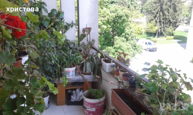 Апартамент-ТОП център от частно лице, снимка 2 - Апартаменти - 36658330