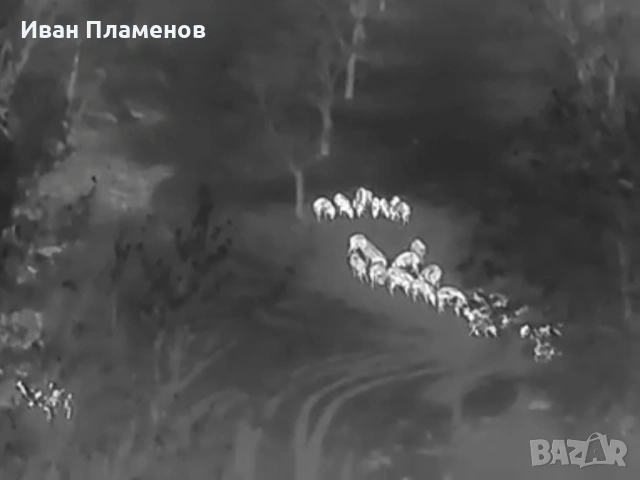 Услуги с термален термо дрон за нощно виждане ФЕЦ SAR Издирване на Хора Засичане Спасяване, снимка 12 - Други услуги - 53813380