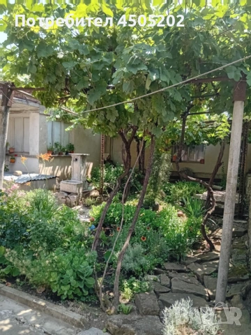 Къща за продан в с. Козаревец, снимка 2 - Къщи - 54023942